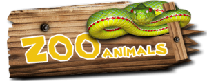 Zoo AnimalsOpen Farm