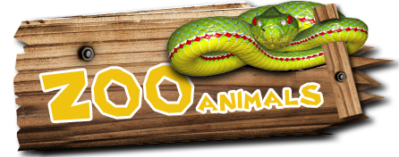 Zoo AnimalsOpen Farm